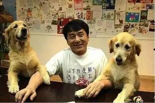 娱乐吃瓜酱大哥爱小狗,娱乐吃瓜酱大哥与小狗的温馨日常