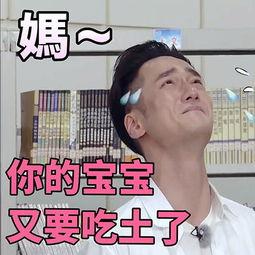 娱乐吃瓜表情包图片大全