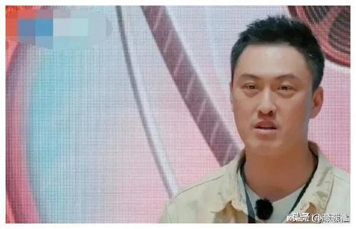 娱乐圈吃瓜爆料私生子,揭秘明星私生子背后的惊人真相