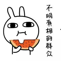 娱乐吃瓜爆款短篇,笑料连连，明星们的“幕后故事”