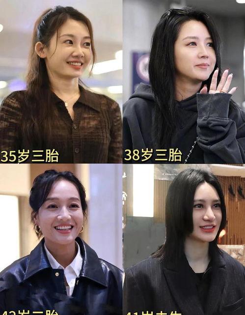 娱乐圈吃瓜学习资料,揭秘明星幕后真相与八卦传闻